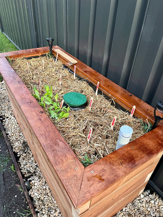 DIY Planter Box: Our guide to building an affordable winter veggie planter box