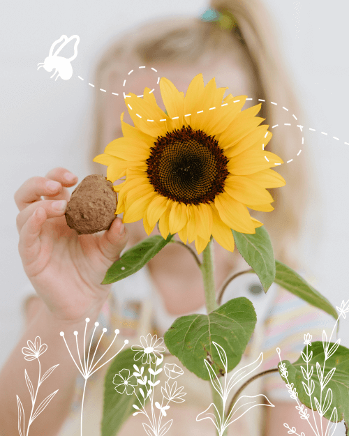 Plant wildflowers with our easy-to-use seed bombs.