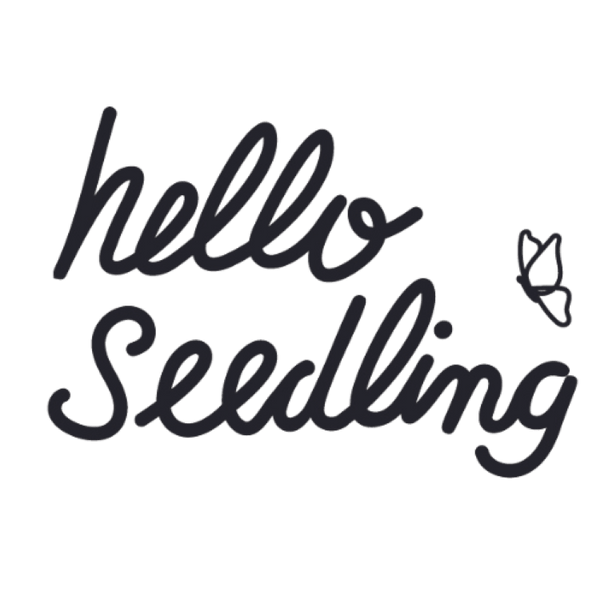 Shop Hello Seedling Australian Wildflower Seed Bombs